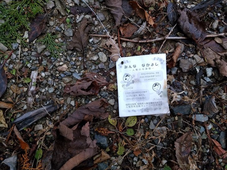 風船は福岡県から飛来