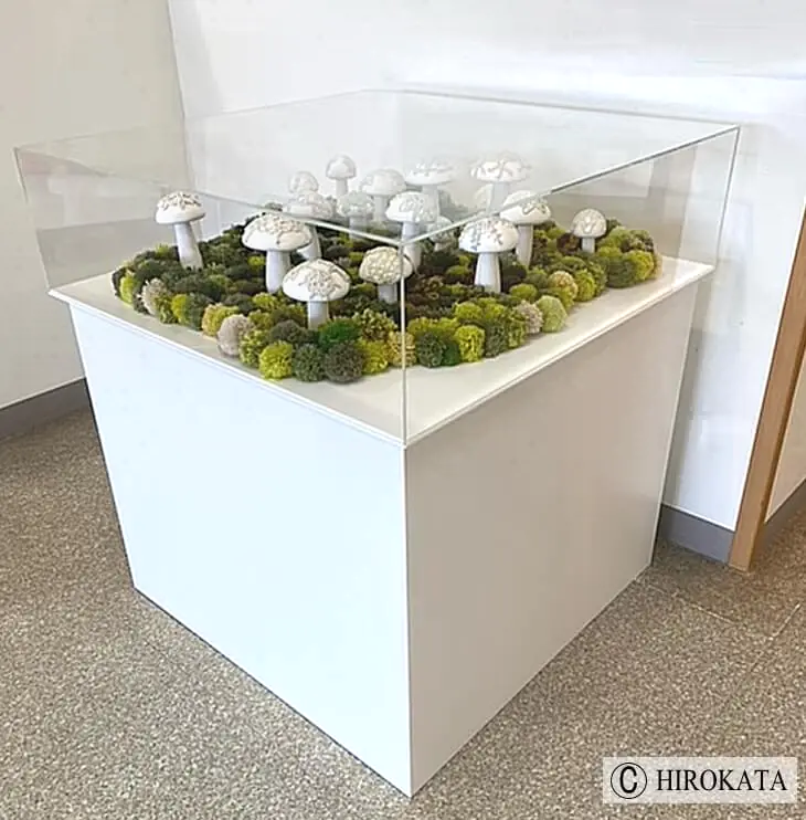 展示台白木製什器　高さ750mm