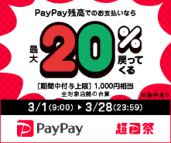 paypay決済誰でも20%キャンペーン